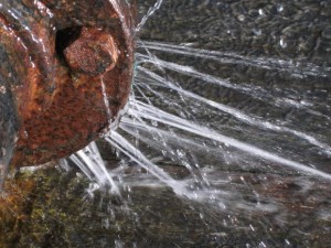 Water Damage Carmel Pipe Burst