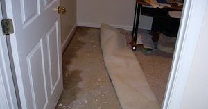 Water Damage From Flooding Causing Mold Growth