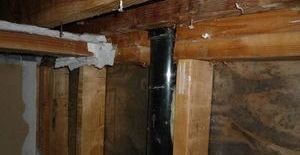 Mold Infestation Inside Wall and Piping