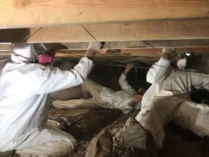 mold-removal-restoration-remediation